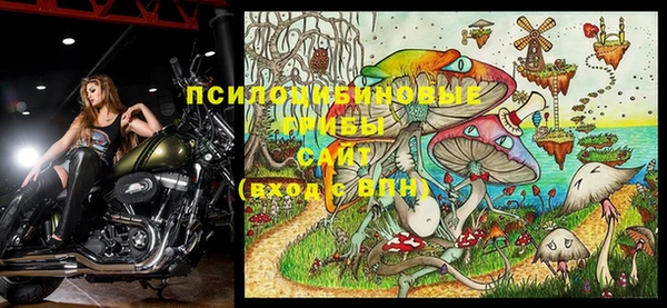 герыч Алзамай